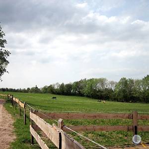 Reitweg ins Gelände