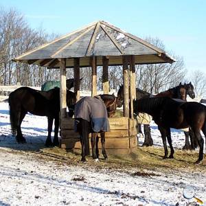 Winterpaddocks